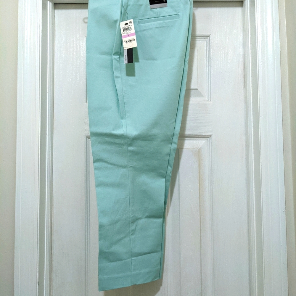 Alfani Capris